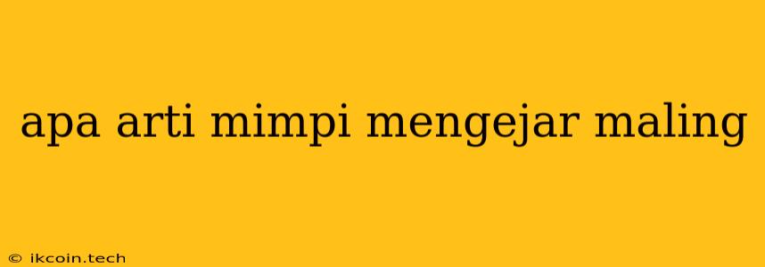 Apa Arti Mimpi Mengejar Maling