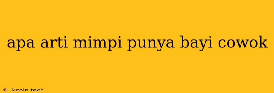 Apa Arti Mimpi Punya Bayi Cowok