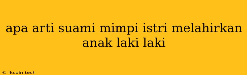 Apa Arti Suami Mimpi Istri Melahirkan Anak Laki Laki