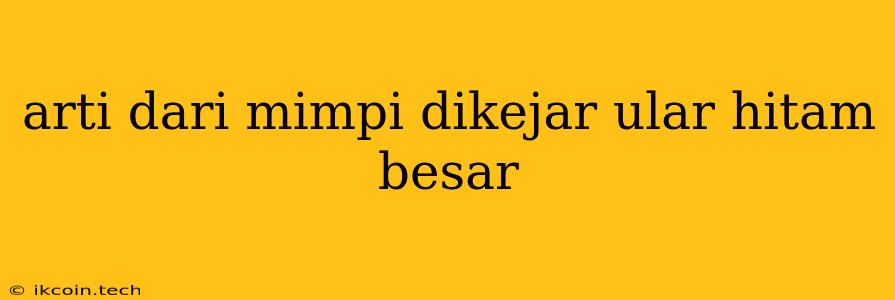 Arti Dari Mimpi Dikejar Ular Hitam Besar