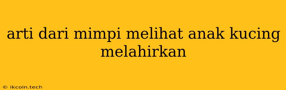 Arti Dari Mimpi Melihat Anak Kucing Melahirkan