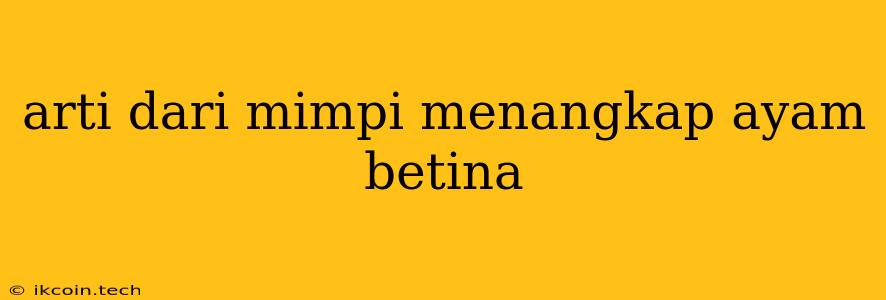 Arti Dari Mimpi Menangkap Ayam Betina