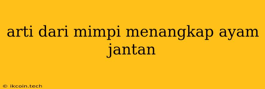 Arti Dari Mimpi Menangkap Ayam Jantan