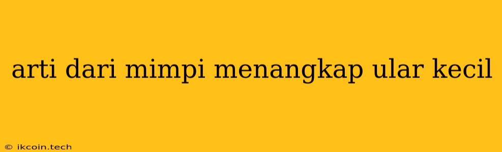 Arti Dari Mimpi Menangkap Ular Kecil