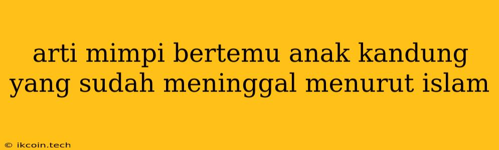 Arti Mimpi Bertemu Anak Kandung Yang Sudah Meninggal Menurut Islam