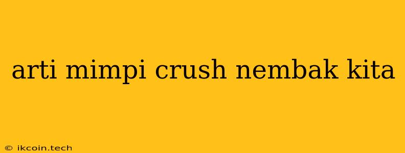 Arti Mimpi Crush Nembak Kita