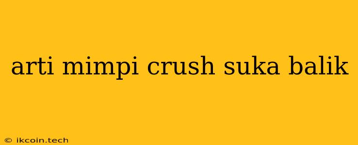 Arti Mimpi Crush Suka Balik