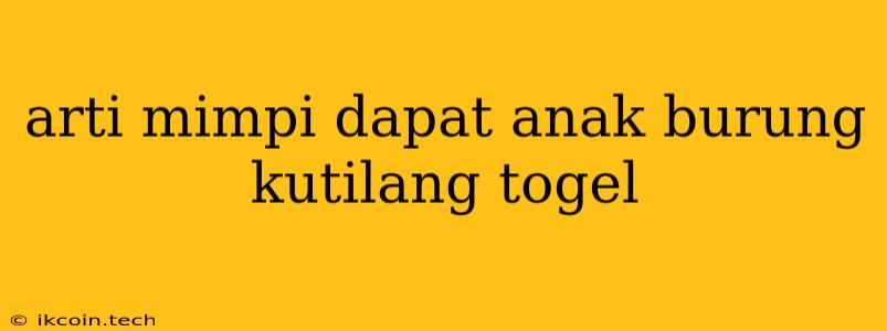 Arti Mimpi Dapat Anak Burung Kutilang Togel