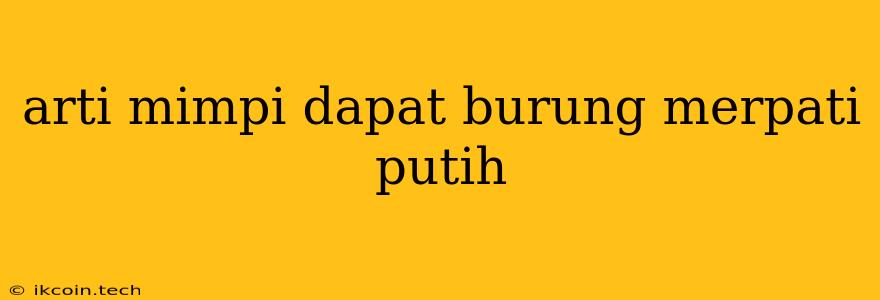 Arti Mimpi Dapat Burung Merpati Putih