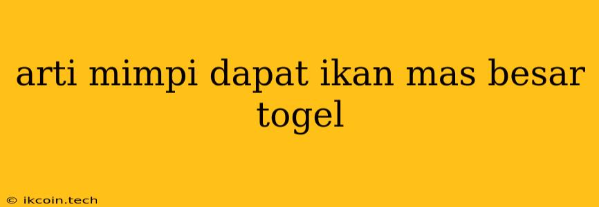 Arti Mimpi Dapat Ikan Mas Besar Togel