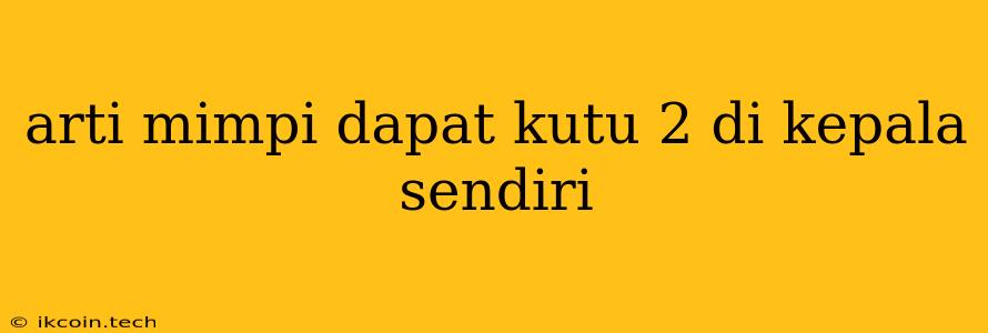 Arti Mimpi Dapat Kutu 2 Di Kepala Sendiri