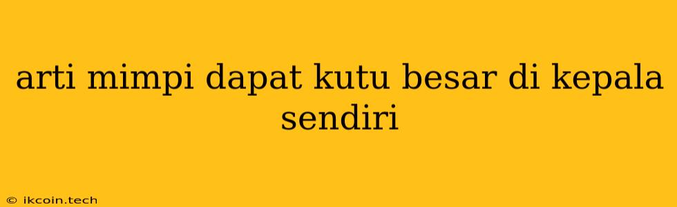 Arti Mimpi Dapat Kutu Besar Di Kepala Sendiri