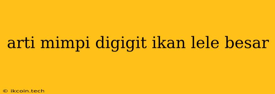 Arti Mimpi Digigit Ikan Lele Besar