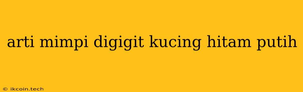 Arti Mimpi Digigit Kucing Hitam Putih