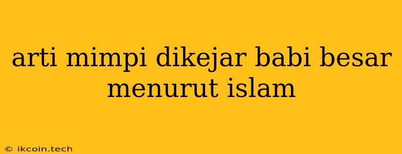 Arti Mimpi Dikejar Babi Besar Menurut Islam