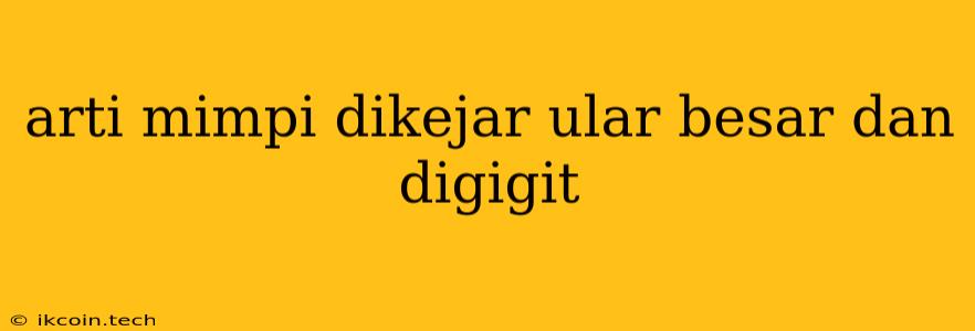 Arti Mimpi Dikejar Ular Besar Dan Digigit