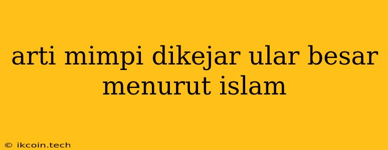 Arti Mimpi Dikejar Ular Besar Menurut Islam