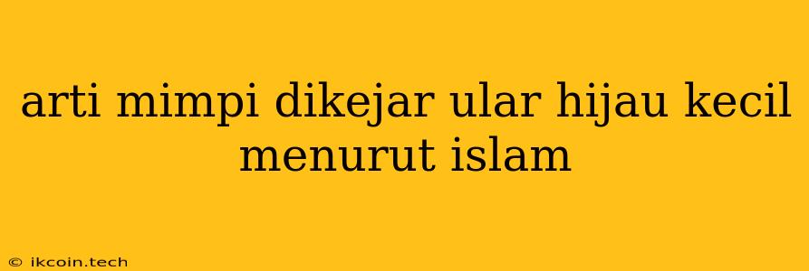 Arti Mimpi Dikejar Ular Hijau Kecil Menurut Islam