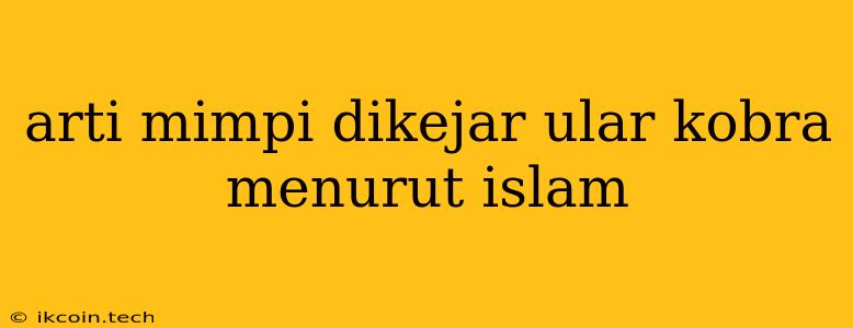 Arti Mimpi Dikejar Ular Kobra Menurut Islam