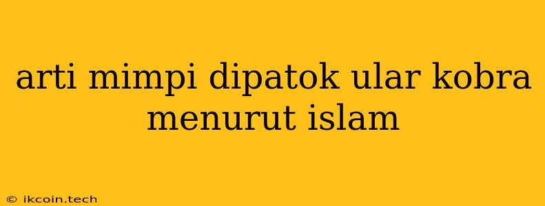 Arti Mimpi Dipatok Ular Kobra Menurut Islam