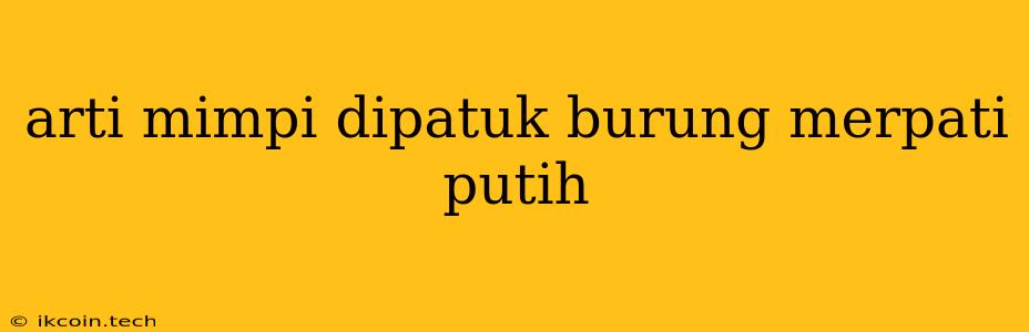 Arti Mimpi Dipatuk Burung Merpati Putih