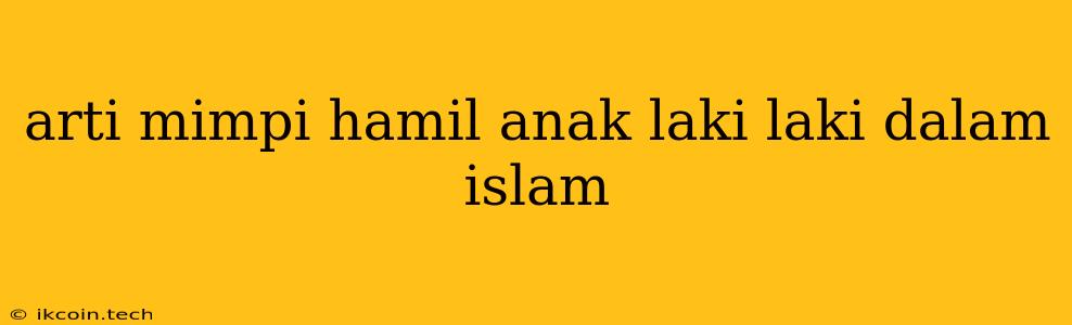 Arti Mimpi Hamil Anak Laki Laki Dalam Islam