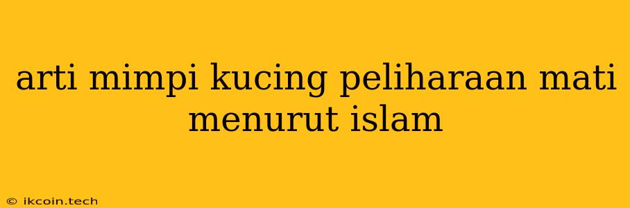 Arti Mimpi Kucing Peliharaan Mati Menurut Islam