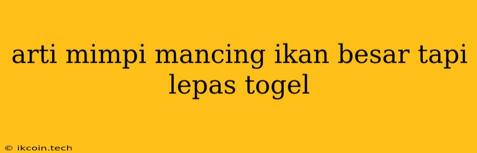 Arti Mimpi Mancing Ikan Besar Tapi Lepas Togel