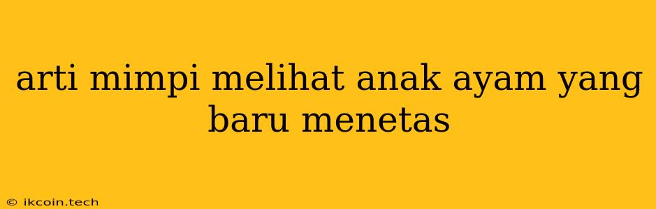 Arti Mimpi Melihat Anak Ayam Yang Baru Menetas