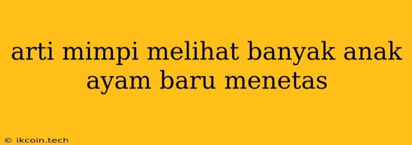 Arti Mimpi Melihat Banyak Anak Ayam Baru Menetas