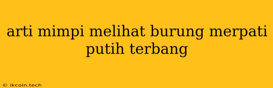 Arti Mimpi Melihat Burung Merpati Putih Terbang