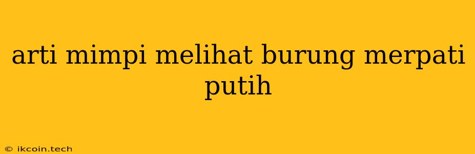 Arti Mimpi Melihat Burung Merpati Putih