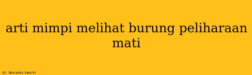 Arti Mimpi Melihat Burung Peliharaan Mati