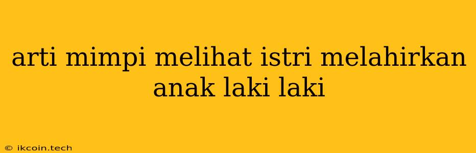 Arti Mimpi Melihat Istri Melahirkan Anak Laki Laki