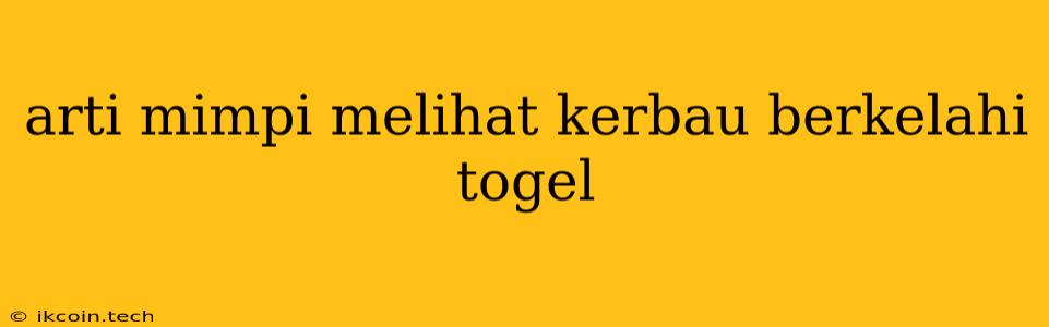 Arti Mimpi Melihat Kerbau Berkelahi Togel