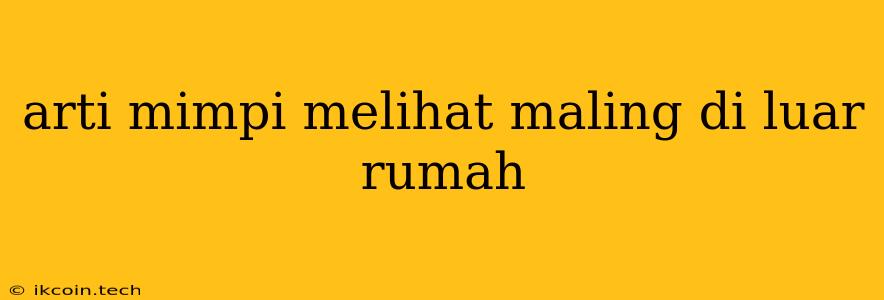 Arti Mimpi Melihat Maling Di Luar Rumah