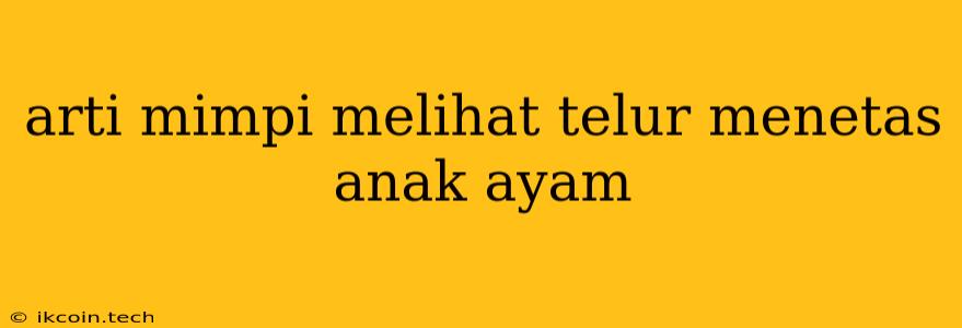 Arti Mimpi Melihat Telur Menetas Anak Ayam