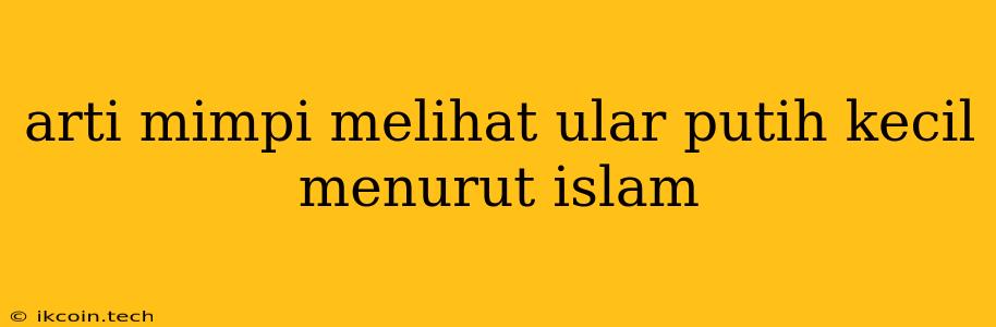 Arti Mimpi Melihat Ular Putih Kecil Menurut Islam