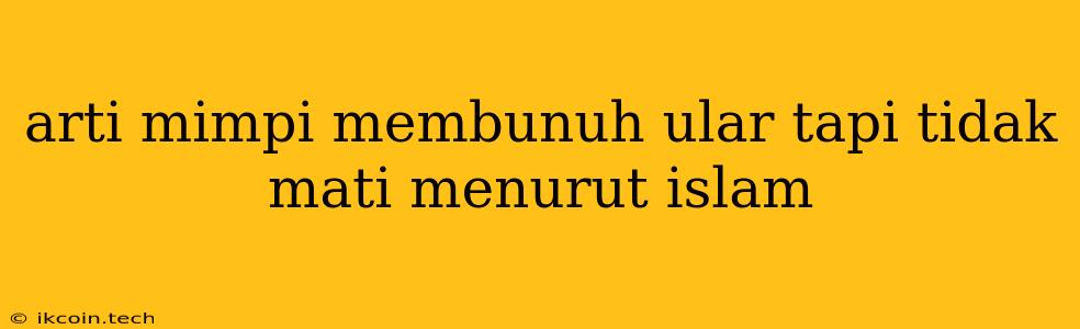 Arti Mimpi Membunuh Ular Tapi Tidak Mati Menurut Islam