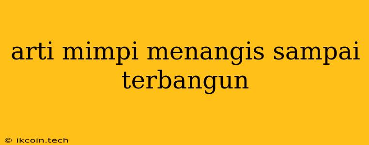 Arti Mimpi Menangis Sampai Terbangun