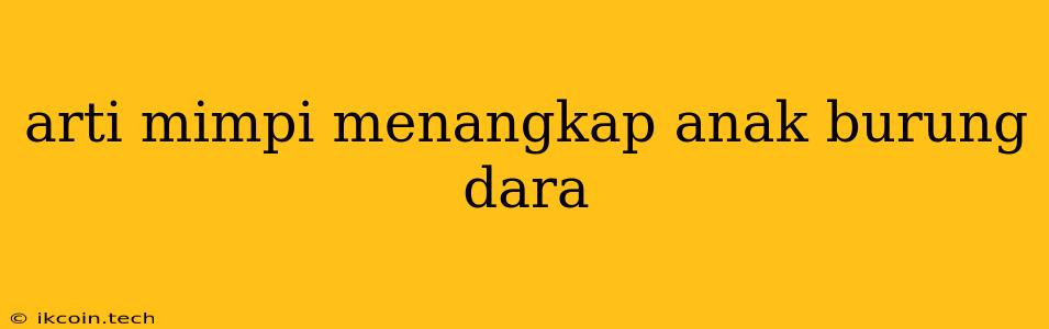 Arti Mimpi Menangkap Anak Burung Dara