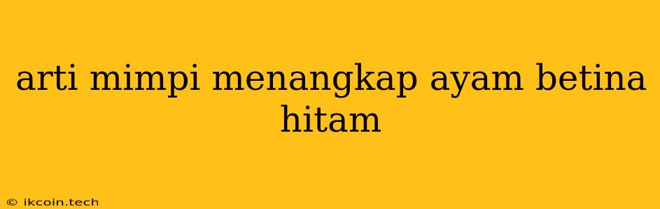 Arti Mimpi Menangkap Ayam Betina Hitam