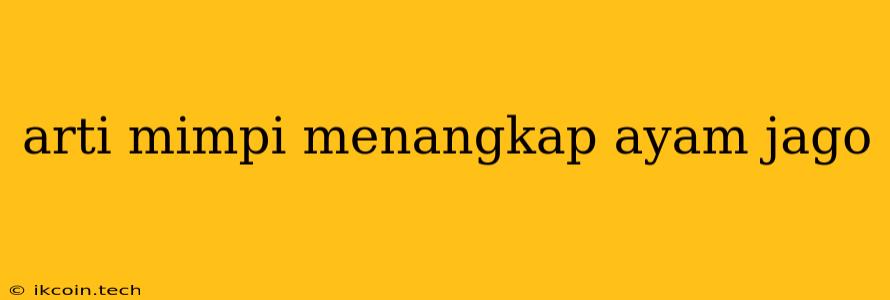 Arti Mimpi Menangkap Ayam Jago