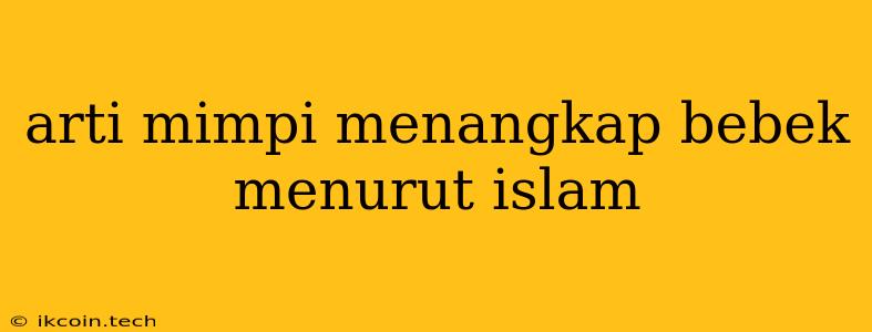 Arti Mimpi Menangkap Bebek Menurut Islam