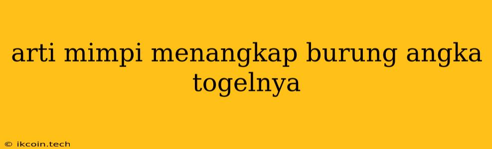 Arti Mimpi Menangkap Burung Angka Togelnya