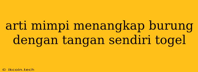 Arti Mimpi Menangkap Burung Dengan Tangan Sendiri Togel