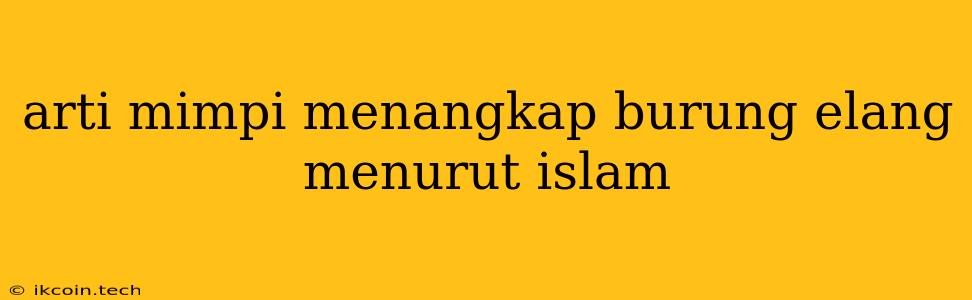 Arti Mimpi Menangkap Burung Elang Menurut Islam