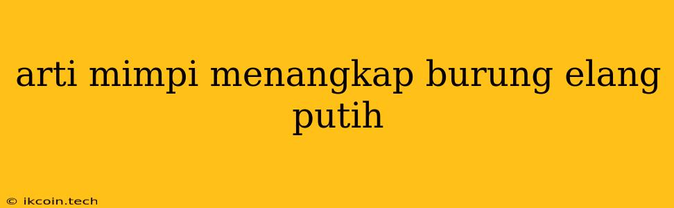 Arti Mimpi Menangkap Burung Elang Putih