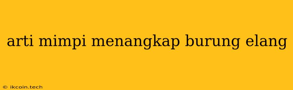 Arti Mimpi Menangkap Burung Elang