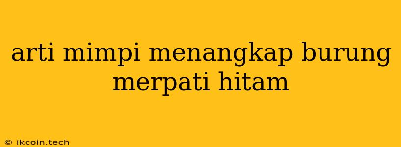 Arti Mimpi Menangkap Burung Merpati Hitam